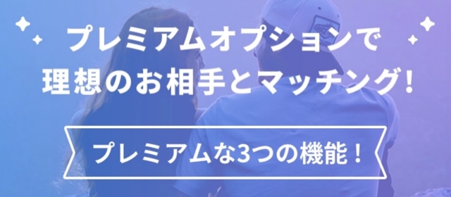 プレミアムオプション
